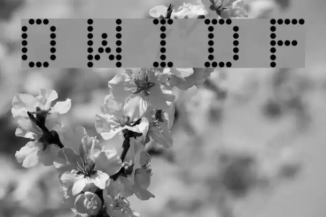 Only When I Do Fonts Fonte examples
