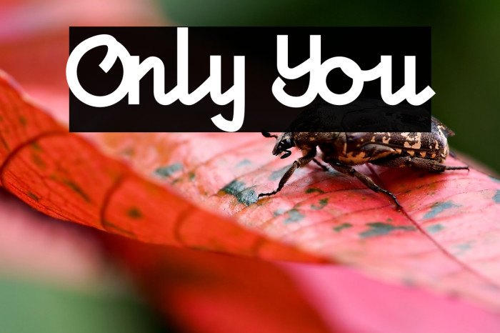 Only You Example 1