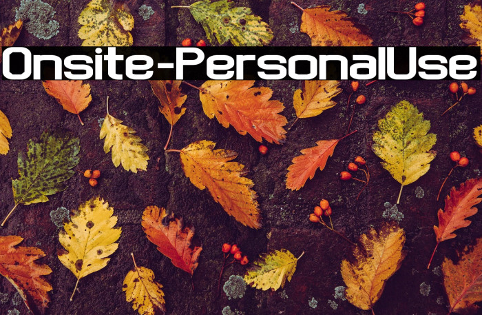 Onsite - Personal Use Example 1