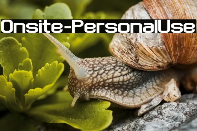 Onsite - Personal Use Example 2