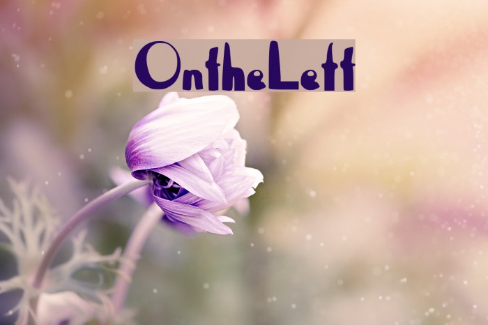 OntheLeft Font examples
