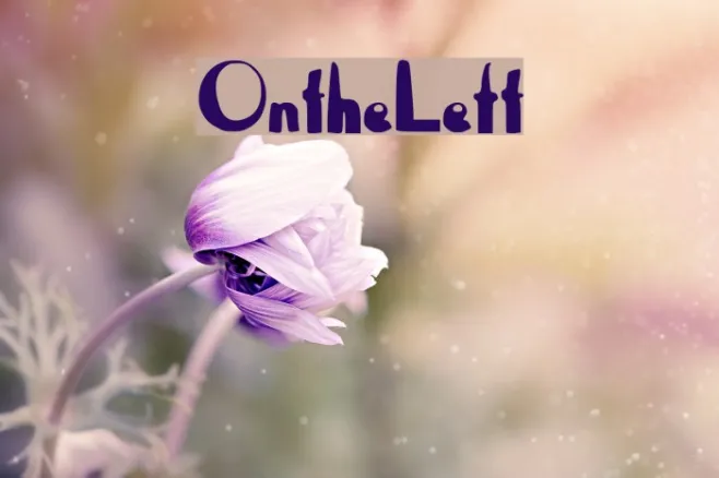 OntheLeft Example 2