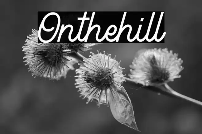 Onthehill Font examples