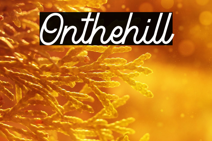 Onthehill Example 3