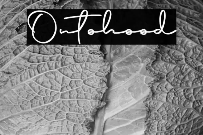 Ontohood Font examples