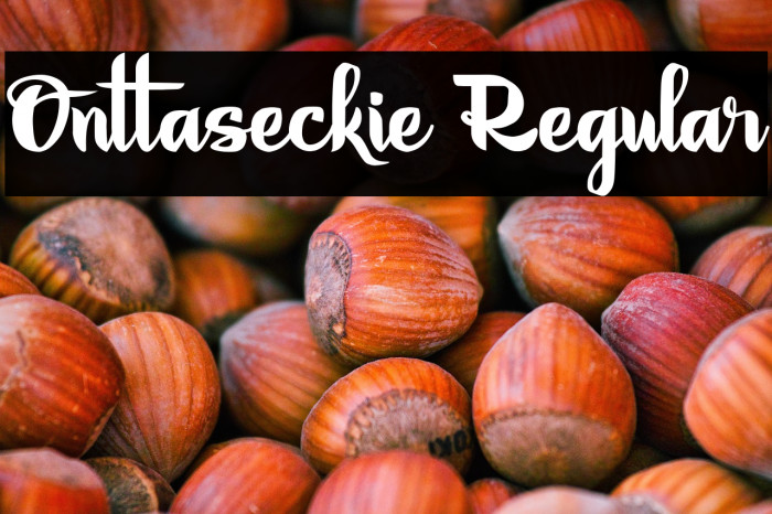 Onttaseckie Regular Example 2