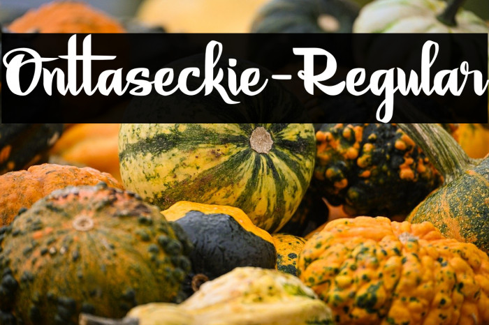 Onttaseckie-Regular Example 1