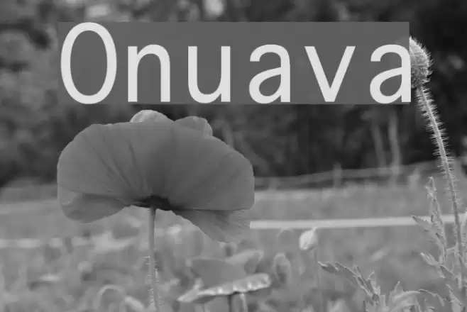 Onuava Font examples