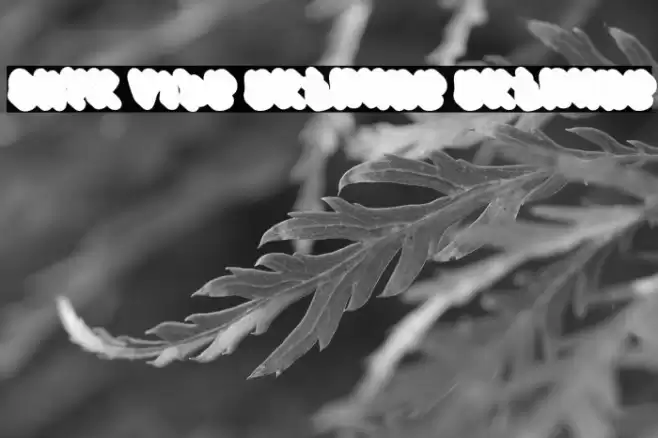 Onyx Vibe Extrude Extrude फ़ॉन्ट examples