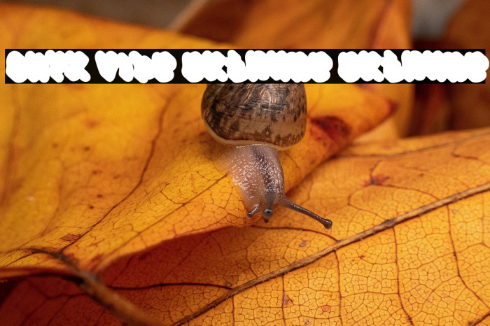 Onyx Vibe Extrude Extrude Font examples