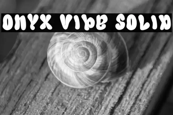 Onyx Vibe Solid Polices examples