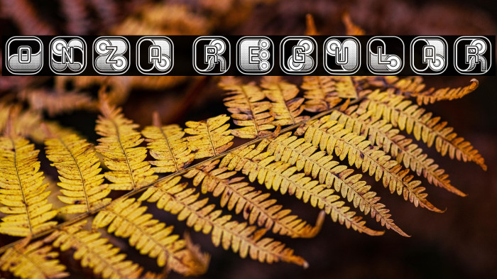 Onza Regular Example 2