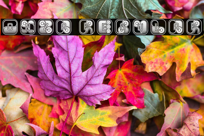 Onza Regular Example 3