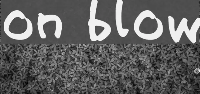 on blow Font examples