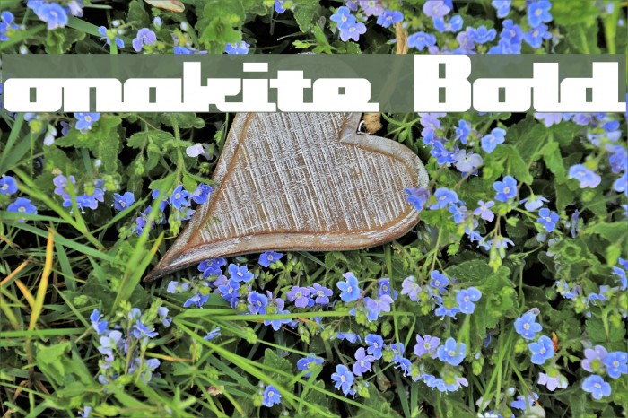 onakite Bold Font examples