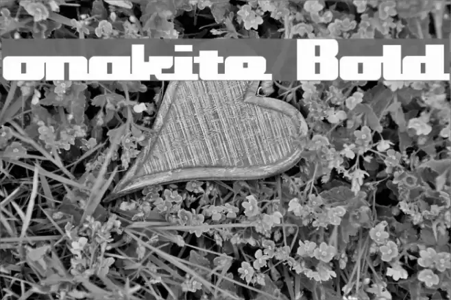 onakite Bold Font examples