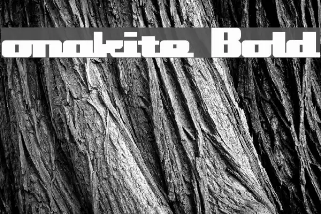 onakite Bold Font examples