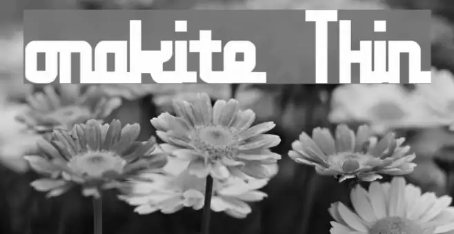 onakite Thin Font examples