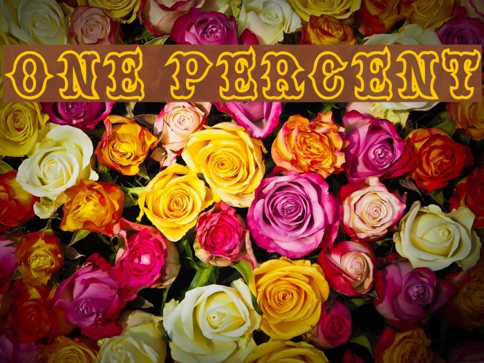 one percent Font examples