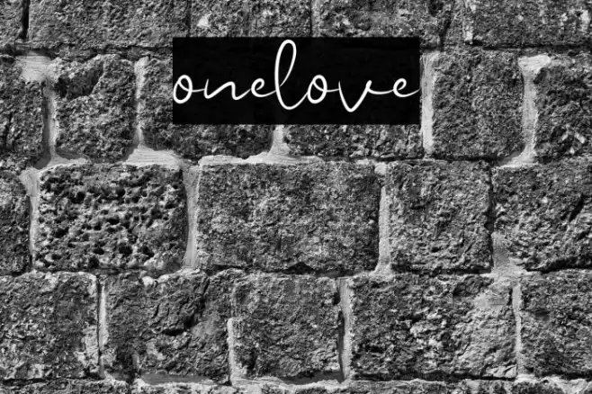 onelove Font examples