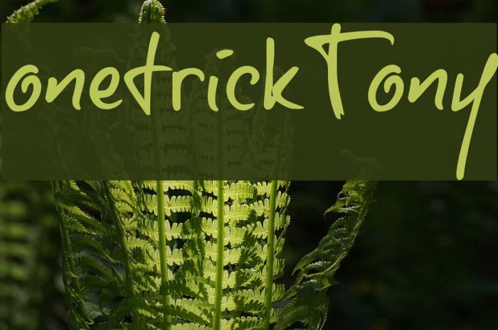 onetrickTony Example 1