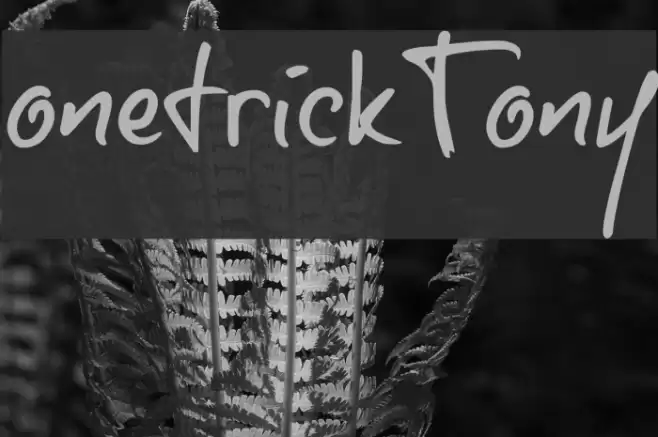 onetrickTony Font examples