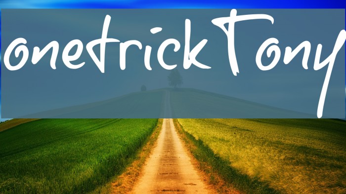 onetrickTony Example 2