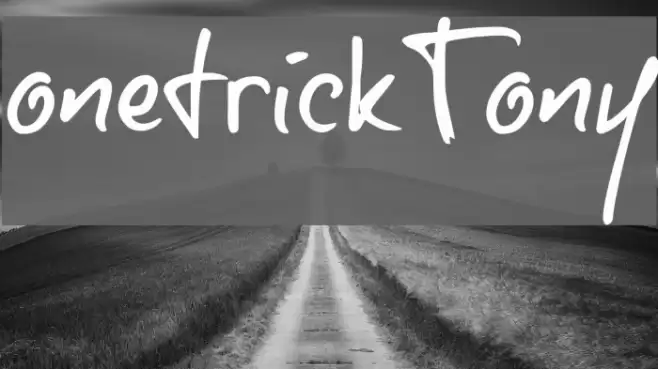 onetrickTony Font examples