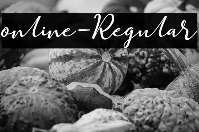 online-Regular Font examples