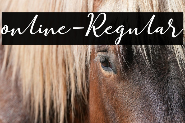 online-Regular Example 2