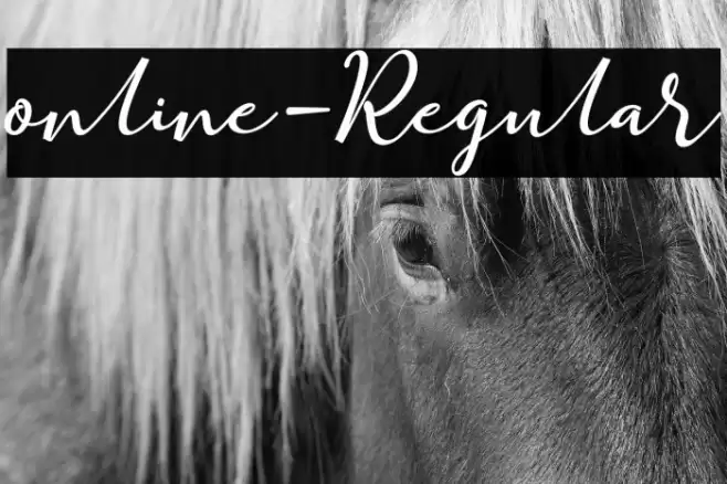 online-Regular Font examples