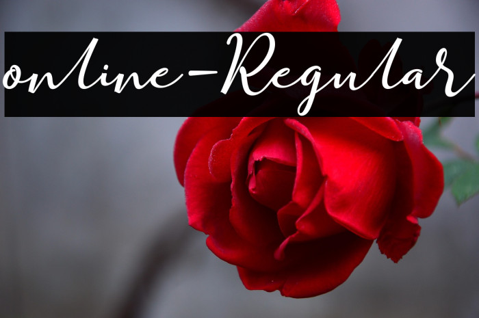 online-Regular Example 3