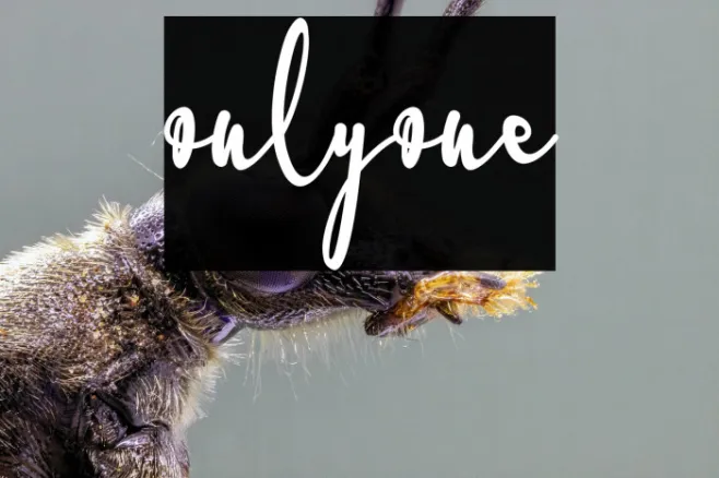onlyone Example 3