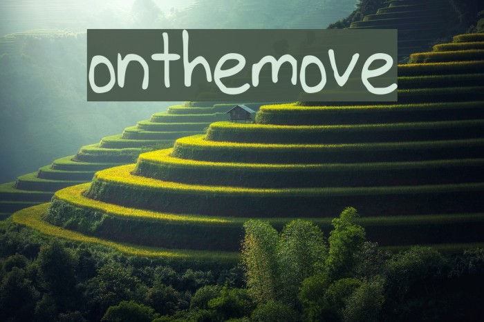 onthemove图片