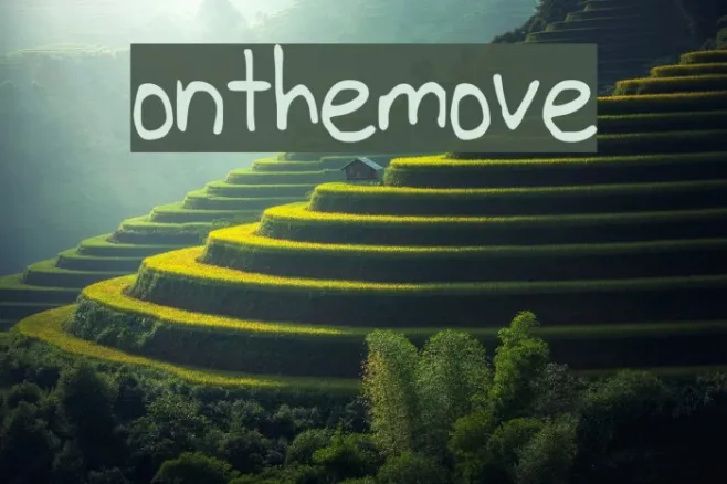 onthemove Example 1