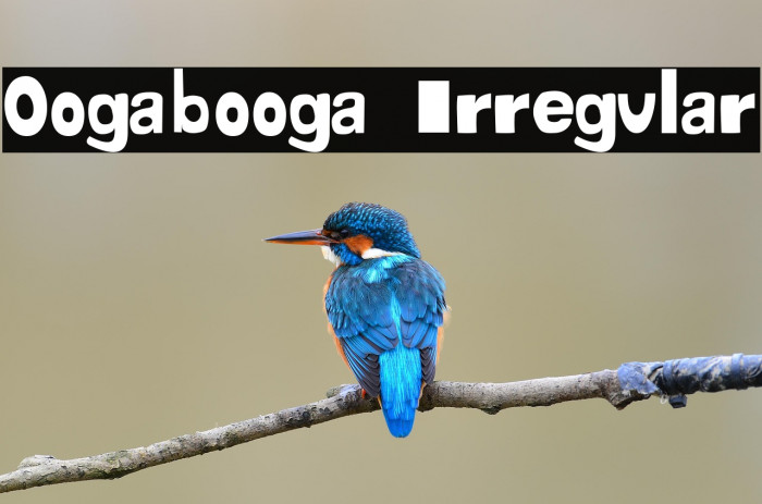 Oogabooga Irregular Example 1