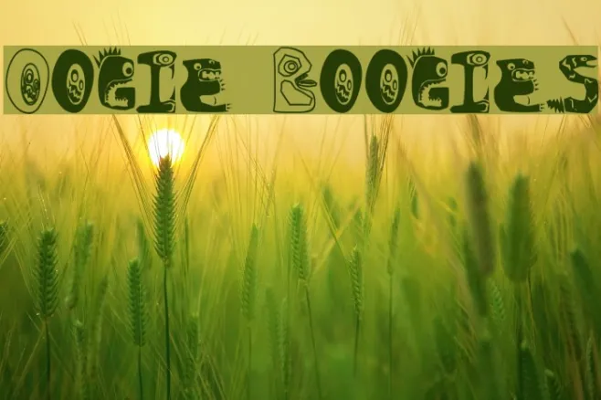 Oogie Boogies Example 1
