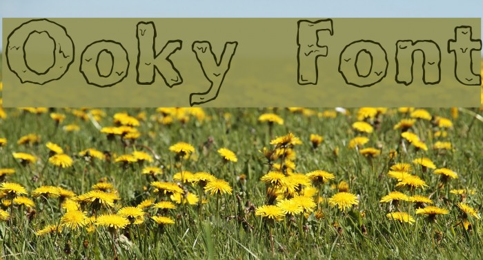 Ooky Font examples