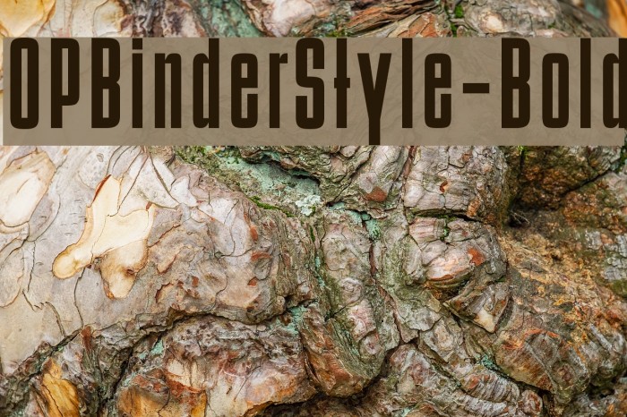 OPBinderStyle-Bold Font examples
