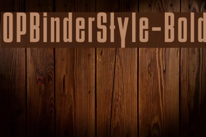 OPBinderStyle-Bold Example 2