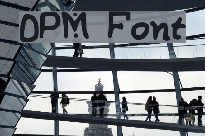 OPM Example 3