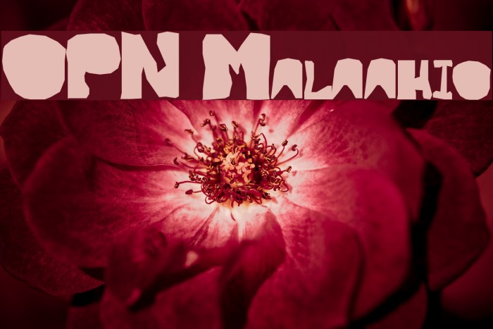 OPN Malatashito Font examples
