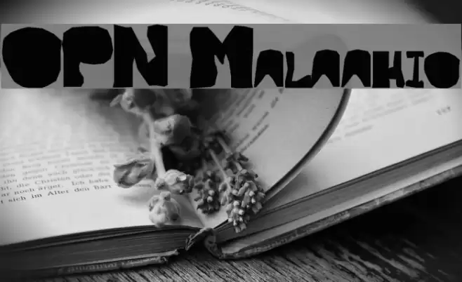 OPN Malatashito Font examples