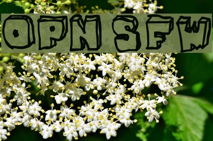 OPN StunFillaWenkay Font examples