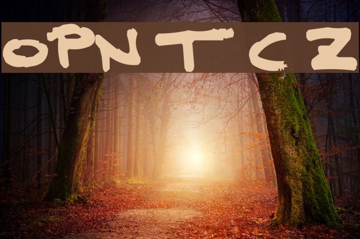 OPN T Complana Z Example 1