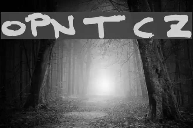 OPN T Complana Z Font examples