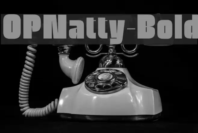 OPNatty-Bold Font examples