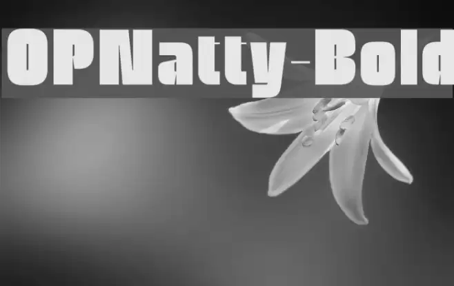 OPNatty-Bold Font examples
