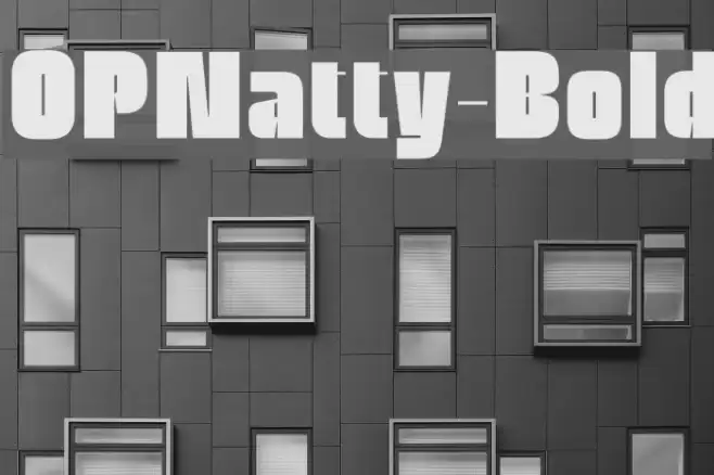 OPNatty-Bold Font examples