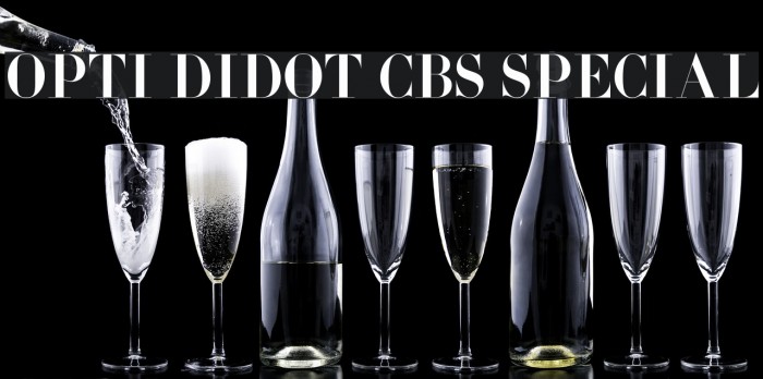 OPTI Didot CBS Special Font examples